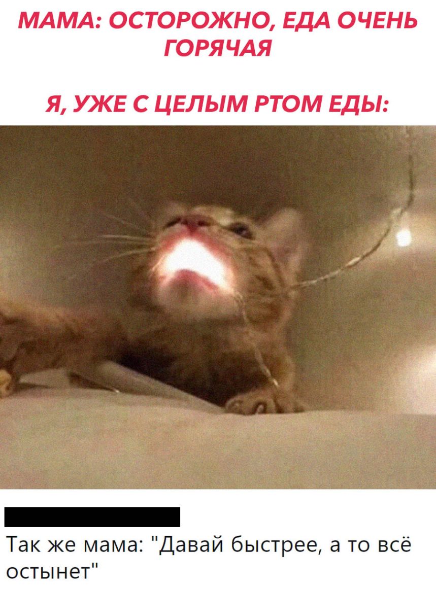 МАМА ОСТОРОЖНО ЕДА ОЧЕНЬ ГОРЯЧАЯ Я УКЕ С ЦЕЛЫМ РТОМ ЕДЫ Так же мама Давай быстрее а то всё остынет