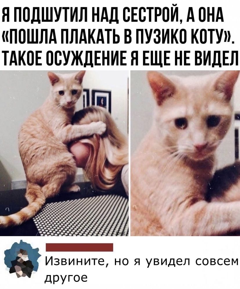 Я ПОДШУТИЛ НАД СЕВТРПЙ А ОНА ППШЛА ПЛАКАТЬ В ПУЗИКО КОТУ_ ТАКОЕ ПСУЖДЕНИЕ Я ЕЩЕ НЕ ВИДЕЛ Извините НО Я УВИДЕЛ СОВСЕМ другое