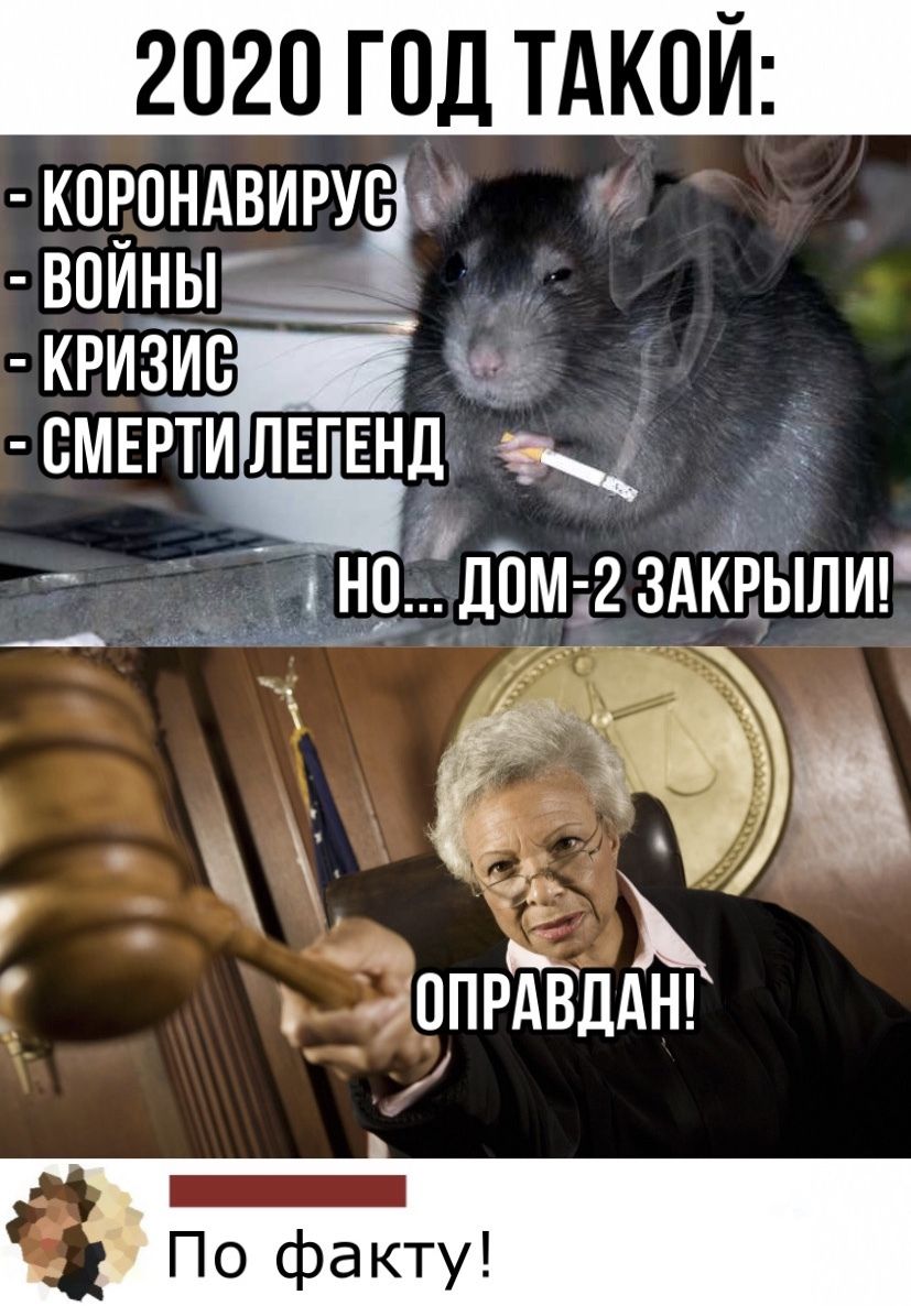 2020 ГОД ТАКОЙ К0Р0НАВИРУВ впйны_ кризис СМЕРТИ пЕгЕнд ТЁЁНО ДПМ 2ЗАКРЫЛИ __ ёы Г ОПРАВДАН _ По факту