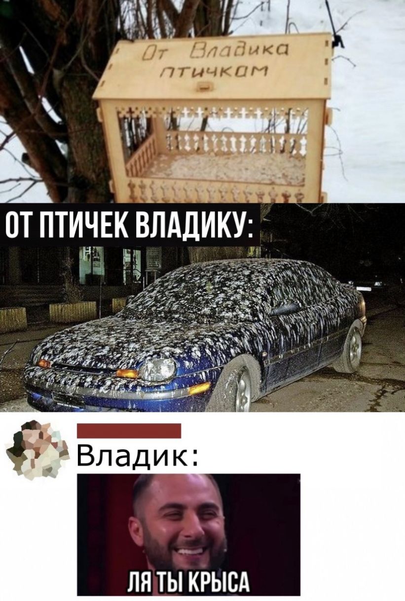 Ш от птичек влддику ЛЯ ТЫ КРЫВА