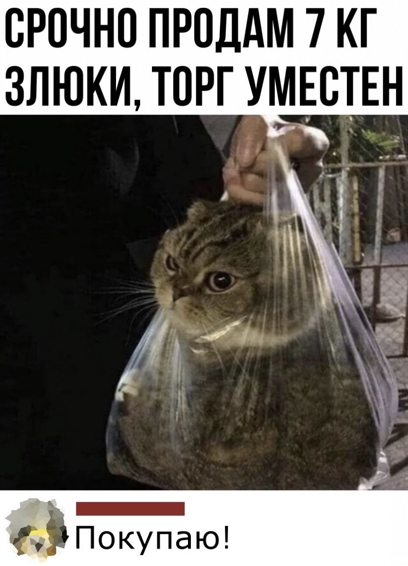 ОРОЧНО ПРОДАМ 7 КГ ЗЛЮКИ ТОРГ УМЕТОЕН