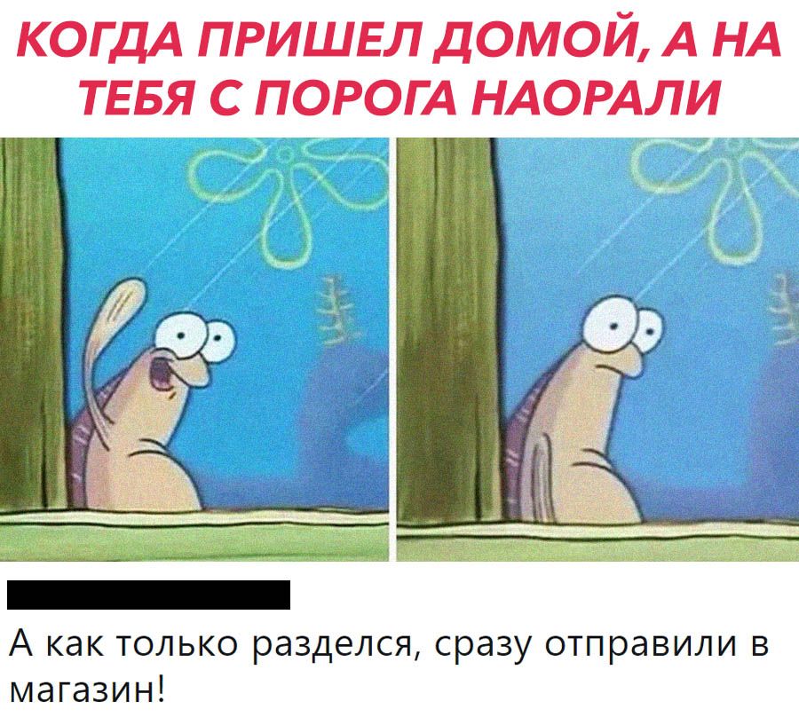 КОГДА ПРИШЕЛ ДОМОЙ А НА ТЕБЯ С ПОРОГА НАОРАЛИ А как только разделся сразу отправили в магазин
