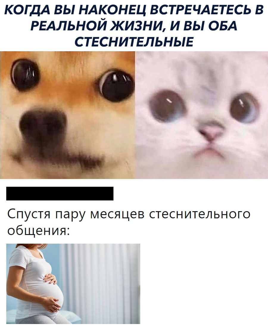 КОГДА ВЫ НАКОНЕЦ ВСТРЕЧАЕТЕСЬ В РЕАЛЬНОЙ ЖИЗНИ И ВЫ ОБА СТЕСНИТЕЛЬНЫЕ Спустя пару месяцев стеснительного общения