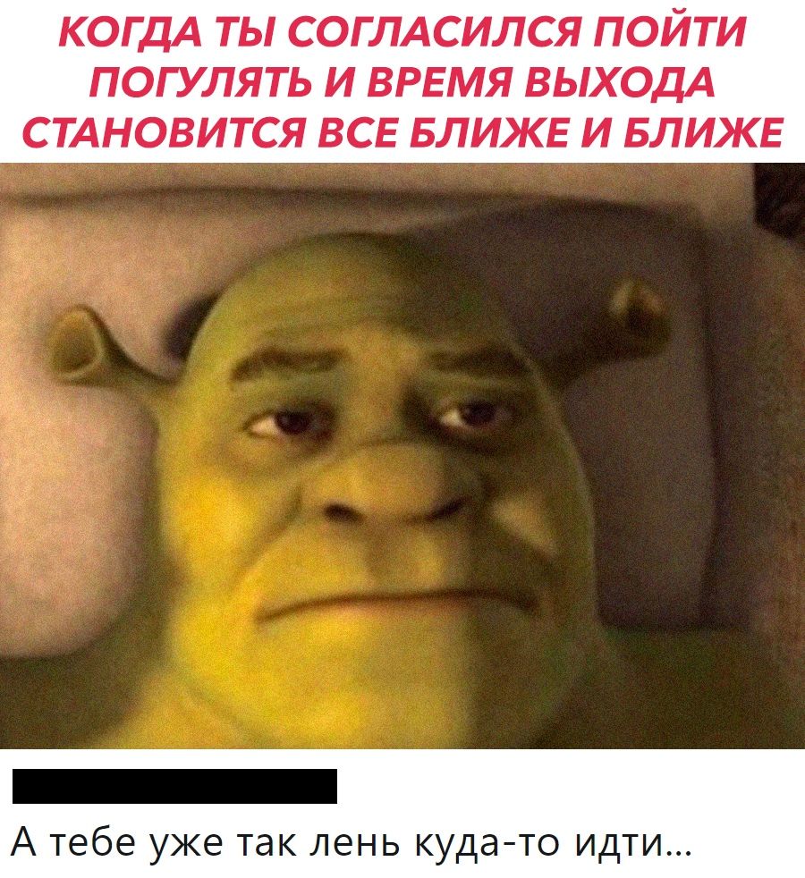 КОГДА ТЫ СОГЛАСИЛСЯ ПОЙТИ ПОГУЛЯТЬ И ВРЕМЯ ВЫХОДА СТАНОВИТСЯ ВСЕ БЛИЖЕ И БЛИЖЕ _ А тебе уже так лень кудато идти