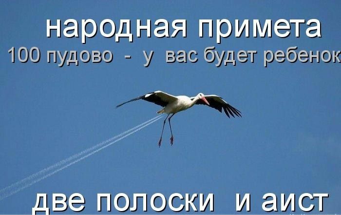народная примета 100 пудово у вас будет ребенок М две ПОПОСКИ И аист