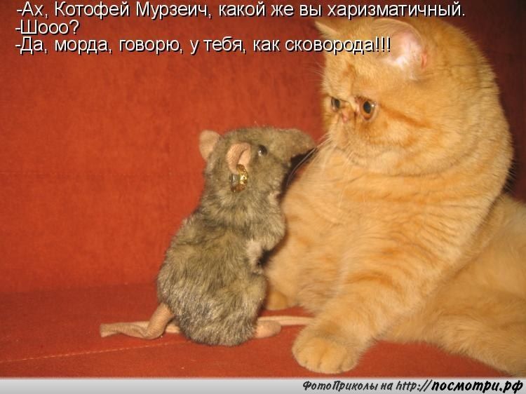 д Фотоприколы иа літМдосмотрафф