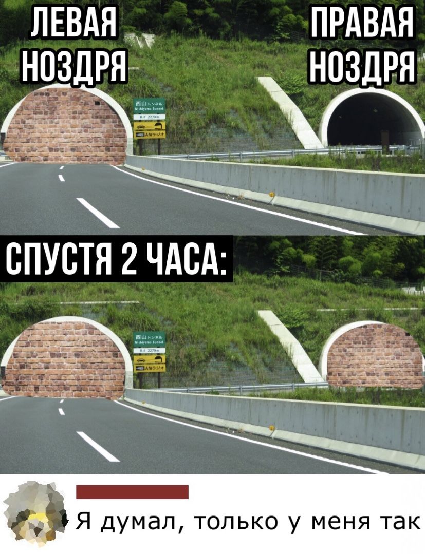 ЛЕВАЯ ПРАВАЯ НОЗДРЯ Я думал только у меня так