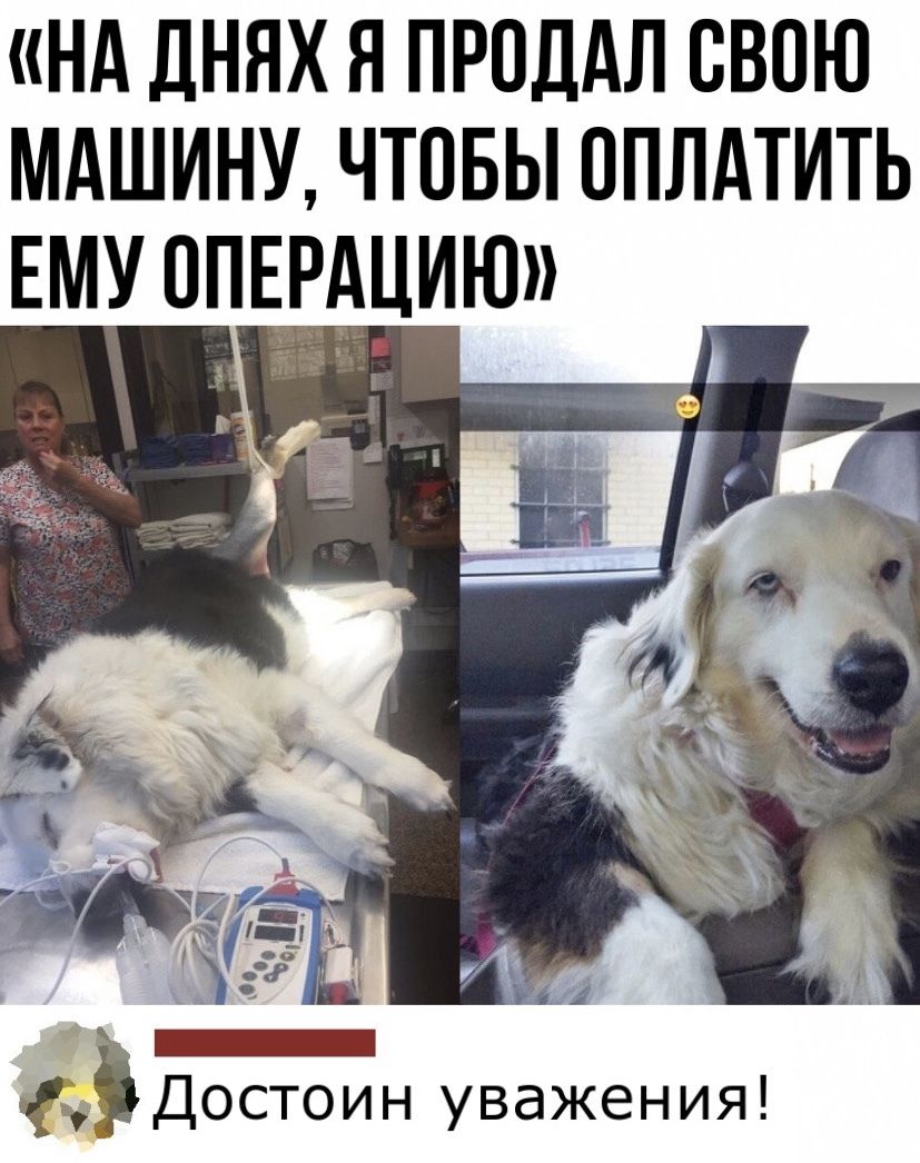 НА днях я ПРОДАЛ свою мдшину чтпвы оплдтить ЕМУ опцию _ Достоин уважения