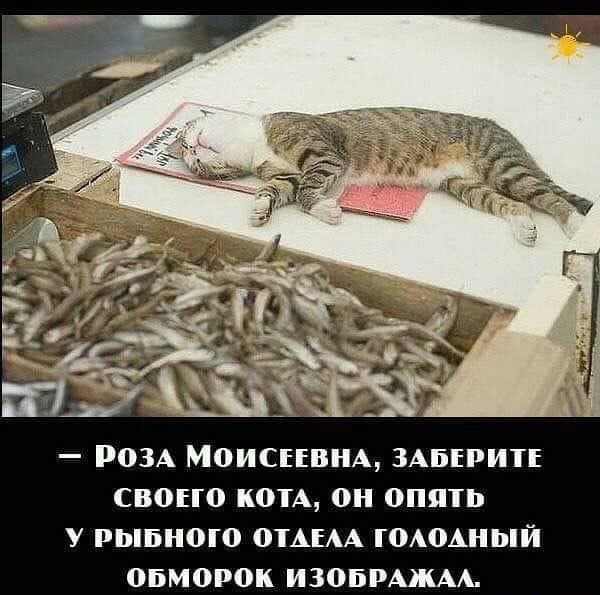_ роЗА Моиснвндь ЗАВЕРИТЕ своно коп он опшь У рывною оТАЕАА ГоАоАНЫЙ обморок изопрмюм