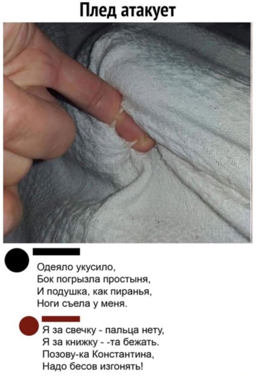 Плед атакует Одеяло укусипо Бок погрызла простыня И подушка как пиранья Ноги съела у меня _ Я за свечку пальца нету Я за книжку та бежать Позову ка Константина Надо бесов изгонять