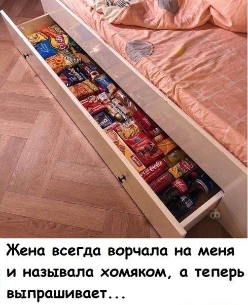 Жена ВССГДО ВОРЧОЛО но меня И НОЗЫВОЛО ХОМЯКОМ теперь ВЫПРОШИВОСТ