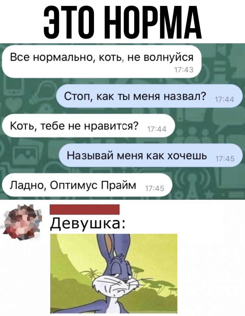 ЭТО НОРМА Все нормально КОТЬ не ВОПНУИСЯ Стоп как ты меня назвал Называи меня как хочешь 7 45 Ладно Оптимус Праим У Коть тебе не нравится
