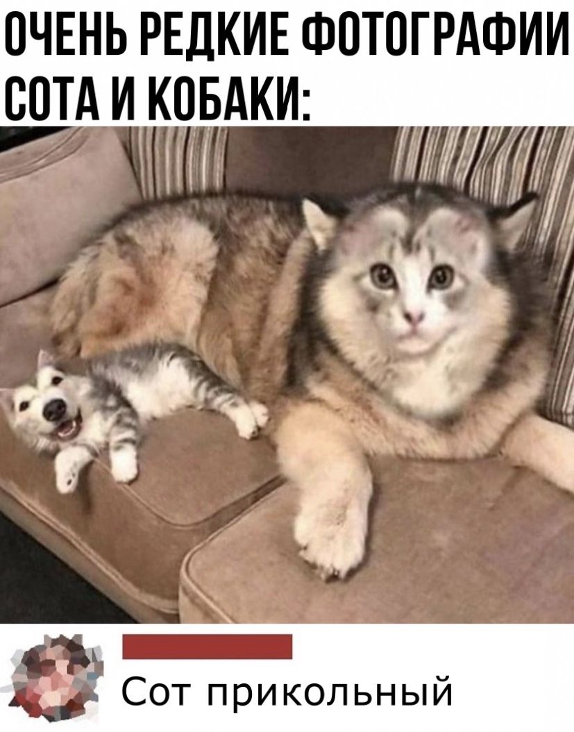 пчннь РЕДКИЕ ФОТОГРАФИИ сотд и
