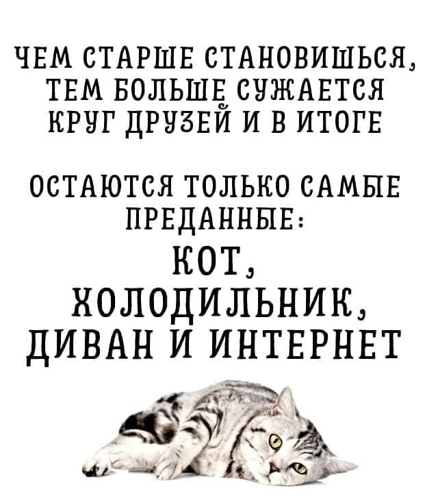 ЧЕМ СТАРШЕ СТАНОВИШЬСЯ ТЕМ БОЛЬШЕ СЧЖАЕТСЯ КРНГ ДРНЗЕИ И В ИТОГЕ ОСТАЮТСЯ только САМЫЕ ПРЕДАННЫЕ КОТ ХОЛОДИЛЬНИК ДИВАНТ И ИНТЕРНЕТ Ёж щд1ЭЪ