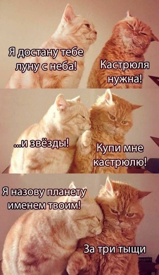 _3 о тг гк 1 1 1 _