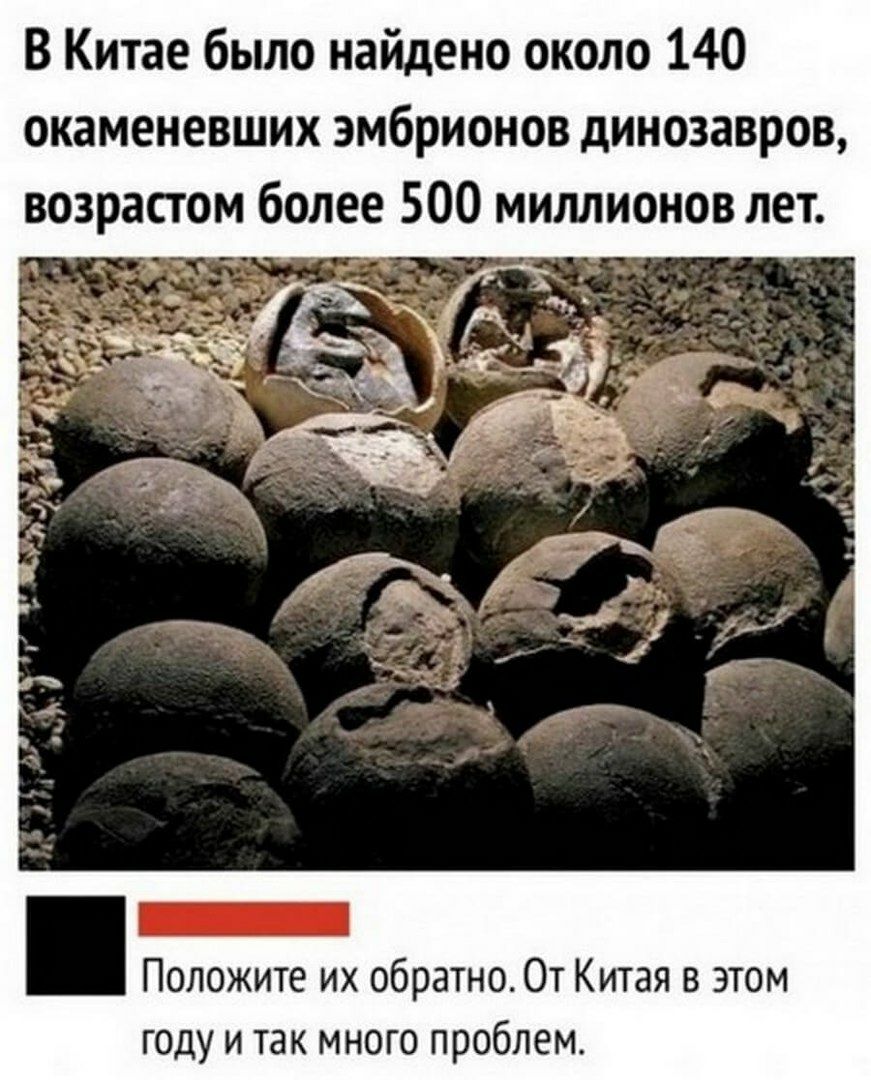 В Китае было найдено около 140 окаменевших эмбрионов динозавров возрастом более 500 миллионов лет Положите их обратно От Китая в этом году и так много проблем