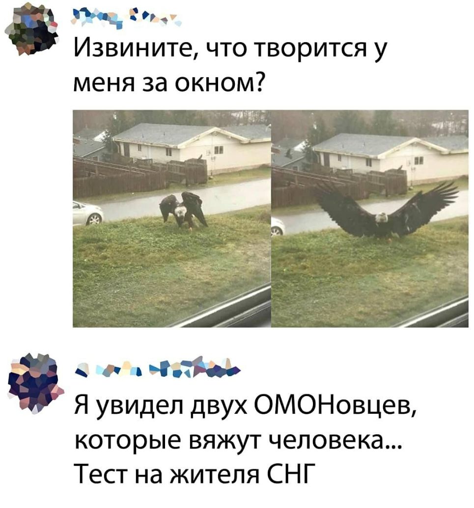 9 Извините что творится у меня за окном Я увидел двух ОМОНовцев которые вяжут человека Тест на жителя СНГ