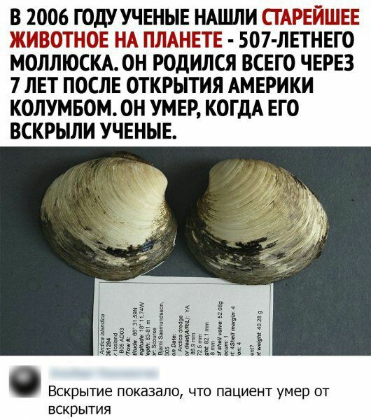 В 2006 ГОДУ УЧЕНЫЕ НАЦШИ СЕ Рв ЫШЕЕ ЗЁЁЬЁОТНЮР Н ПЛАНЕТЕ 507 ЛЕТНЕГО МОЛЛЮСКА ОН РОДИЛСЯ ВСЕГО ЧЕРЕЗ 7 ЛЕТ ПОСЛЕ ОТКРЫТИЯ АМЕРИКИ КОЛУМБОМ ОН УМЕР КОГДА ЕГО ВСКРЫЛИ УЧЕНЫЕ ЁЁ ЕМ Ё Ё ЁЁЁ 3 Вскрытие ПОКЭЗВЛО ЧТО пациент умер ОТ ВСКРЫТИЯ