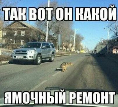 шнвпі он ндной ИМПЧИЫИ РЕМПШ