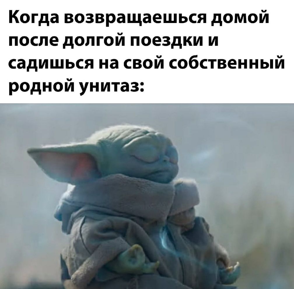 Когда возвращаешься домой после долгой поездки и садишься на свой собственный родной унитаз