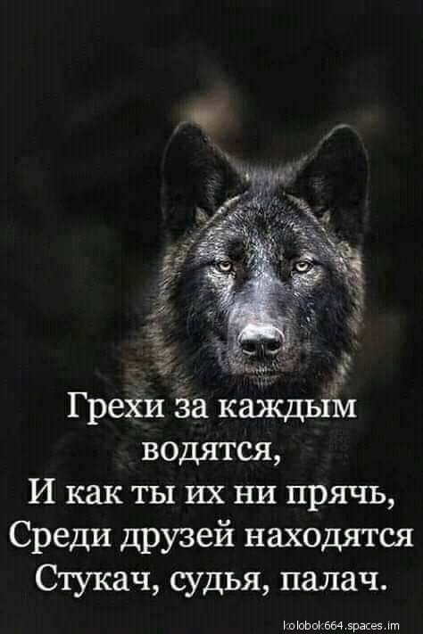 Греки ёа каждыіи водятся И как ты их ни прячь Среди друзей находятся Стукач судья палач юхиыиеы 5рвке5 пп