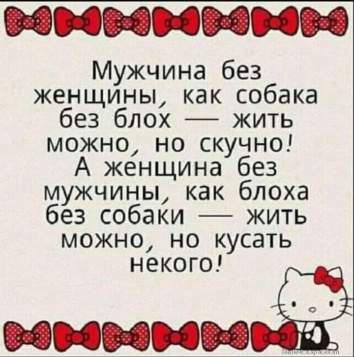 Мужчина без женщины как собака без блох жить можно но скучно А женщина без мужчины как блоха без собаки жить можно но кусать некого