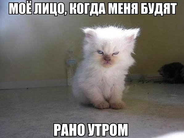 ногдп мгнп видит мно ИЮНЬ