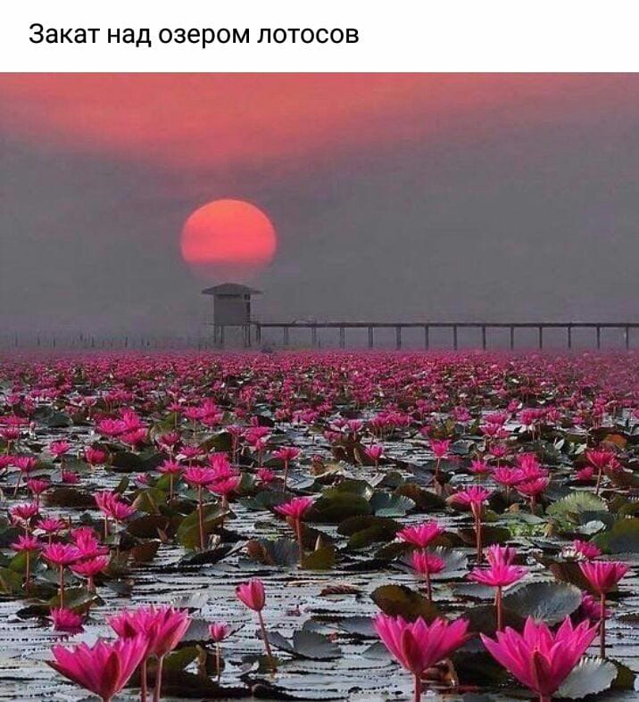 в О С 0 Л м 0 р е 3 О