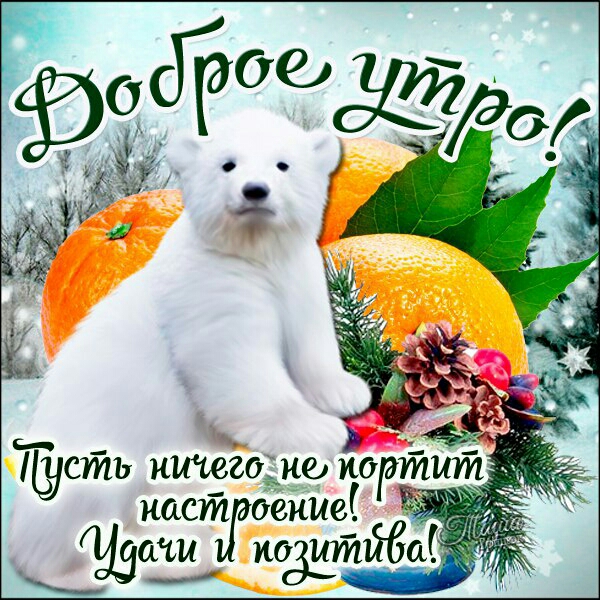 Тусть ишет не портит наст дение мы по итйЁаГЁ