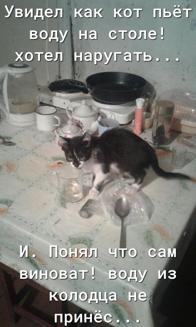 на СТоле ЭРУГ3_ГЬ И Понял ччо саУ назат 50д гіі 103 НЭ Ёж 433