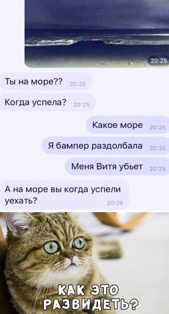 Ты на море Когда успела Какое море Я бампер раздолбала Меня Витя убьет А на море вы когда успели уехать