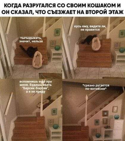 КОГДА РАЗРУГАЛСЯ СО СВОИМ КОШАЁОМ И ОН СКАЗАЛ ЧТО СЪЕЗЖАЕТ НА ВТОРОМ ЭТАЖ мы тт