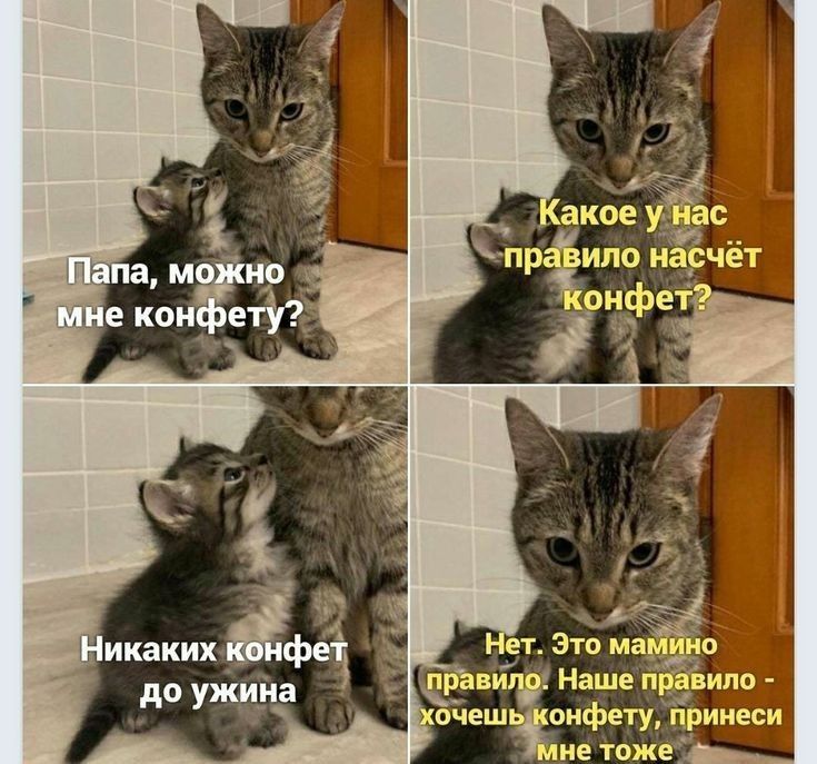 оТеш онфету принеси ие тоже