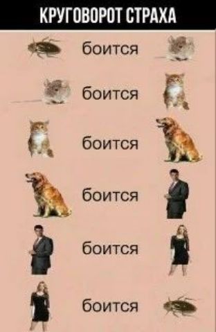 КРУГОВПРОТ СТРАХА боится Р боится Г боится Ъ боится і боится і боится ц