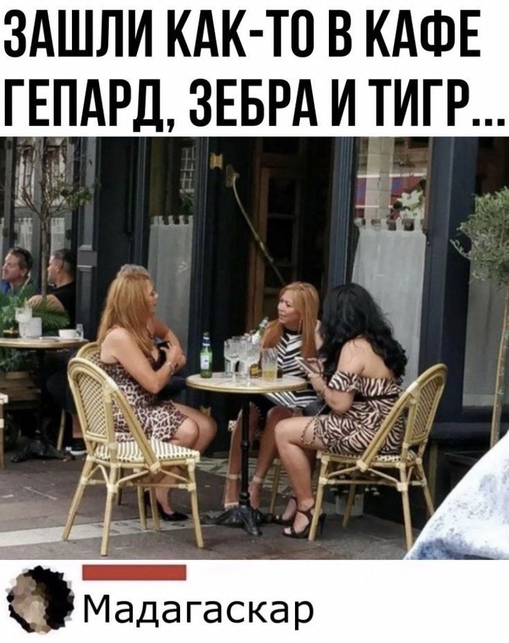 ЗАШЛИ КАК ТП В КАФЕ ГЕПАРД ЗЕБРА И ТИГР