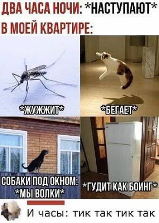 ЛБА ЧАСА НОЧИ НАСТУПАЮТ В МОЕЙ КВАРТИРЕ СПБАКИ ПОП П МЫ ВОЛК ГУЛИТ КАК ВУЗ Нг и И часы тик так тик так