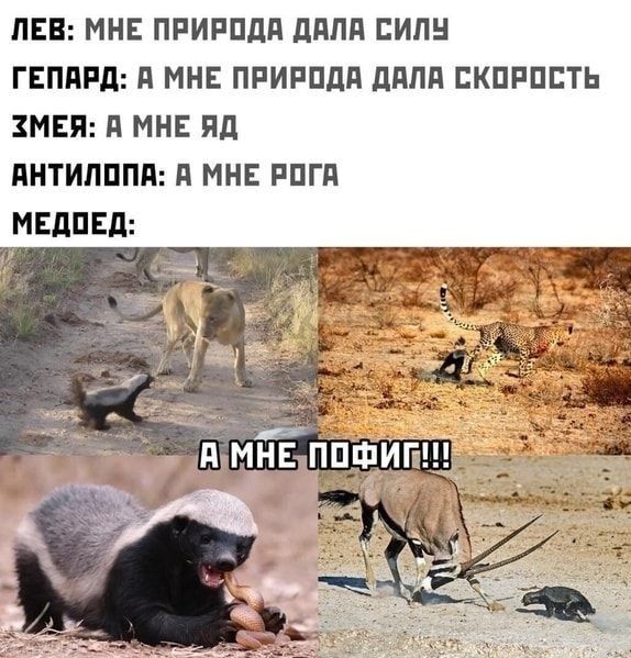 ЛЕВ МНЕ ПРИРПЛП ддЛд ЕИЛН ГЕПдРд д МНЕ ПРИРПдд дппп БКПРПБТЬ ЗМЕЯ д МНЕ Яд ИНТИЛППП д МНЕ РПГП МЕдПЕд