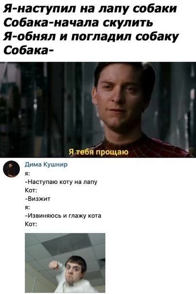 Я иаступил на лапу собаки Собака начала скулить Я обнял и погладил собаку Собака я тебя прощаю дима Кушнир Нзпупзю каТу з лзпі Кт Бизжи7 Извиняюсь и глажу к Кот