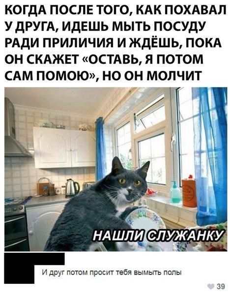 КОГДА ПОСЛЕ ТОГО КАК ПОХАВАЛ У дРУГА ИдЕШЬ МЫТЬ ПОСУДУ РАДИ ПРИЛИЧИЯ И ЖдЁШЬ ПОКА ОН СКАЖЕТ ОСТАВЬ Я ПОТОМ САМ ПОМОЮ НО ОН МОЛЧИ и дРУг пыом просит тебя вымыть попы не