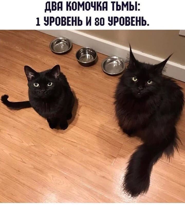 двп КОМОЧКП ТЬМЫ 1 БРОВЕНЬ И 80 БРПВЕНЬ _