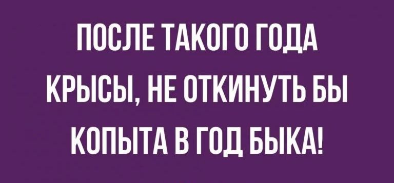 ПОСЛЕ ТАКОГО ГОДА КРЫСЫ НЕ ОТКИНУТЬ БЫ КППЫТА В ГОД БЫКА