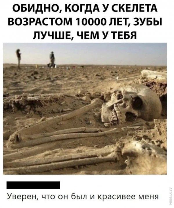 ОБИДНО КОГДА У СКЕЛЕТА ВОЗРАСТОМ 10000 ЛЕТ ЗУБЫ ЛУЧШЕ ЧЕМ У ТЕБЯ Уверен ЧТО ОН бЫЛ И красивее меня