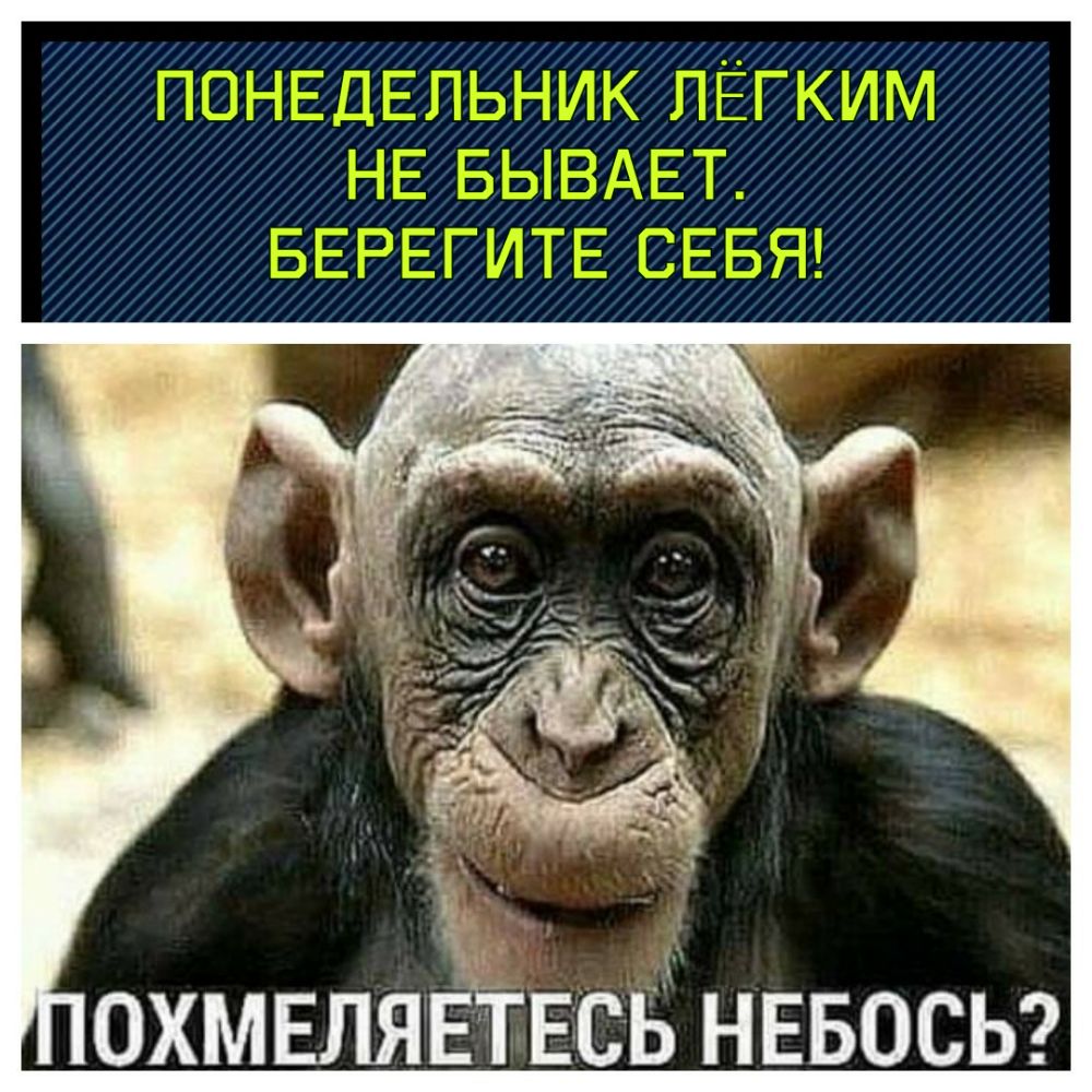 5 ОХМЕЛЯЕТЕСЬ НЕБОСЬ