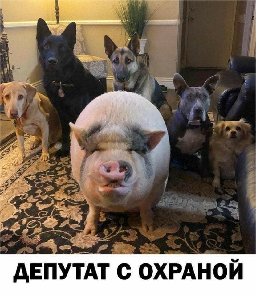 депутт с ОХРАНОЙ