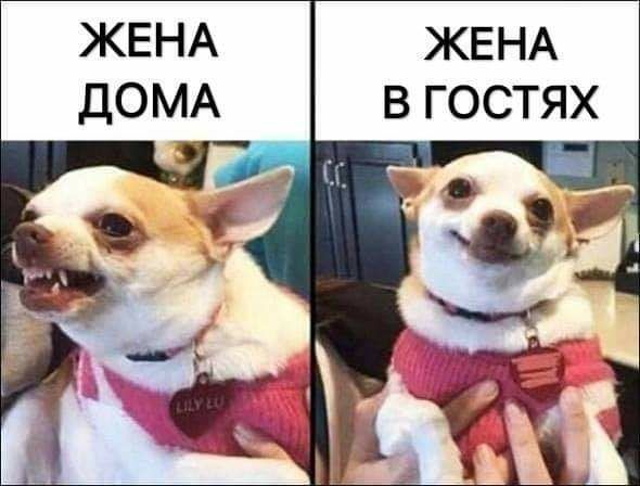 ЖЕНА В ГОСТЯХ