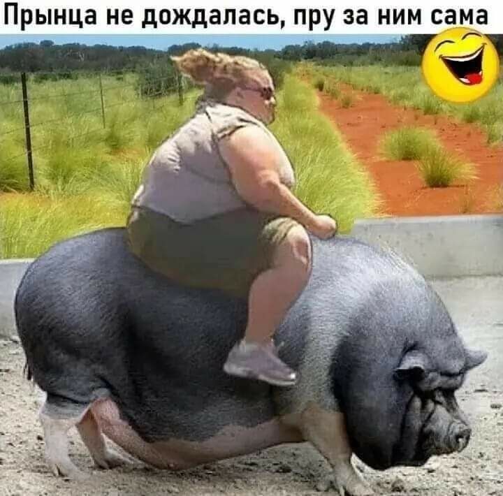 ПРЫНЦЭ НЕ дождалась ПРУ за НИМ сама