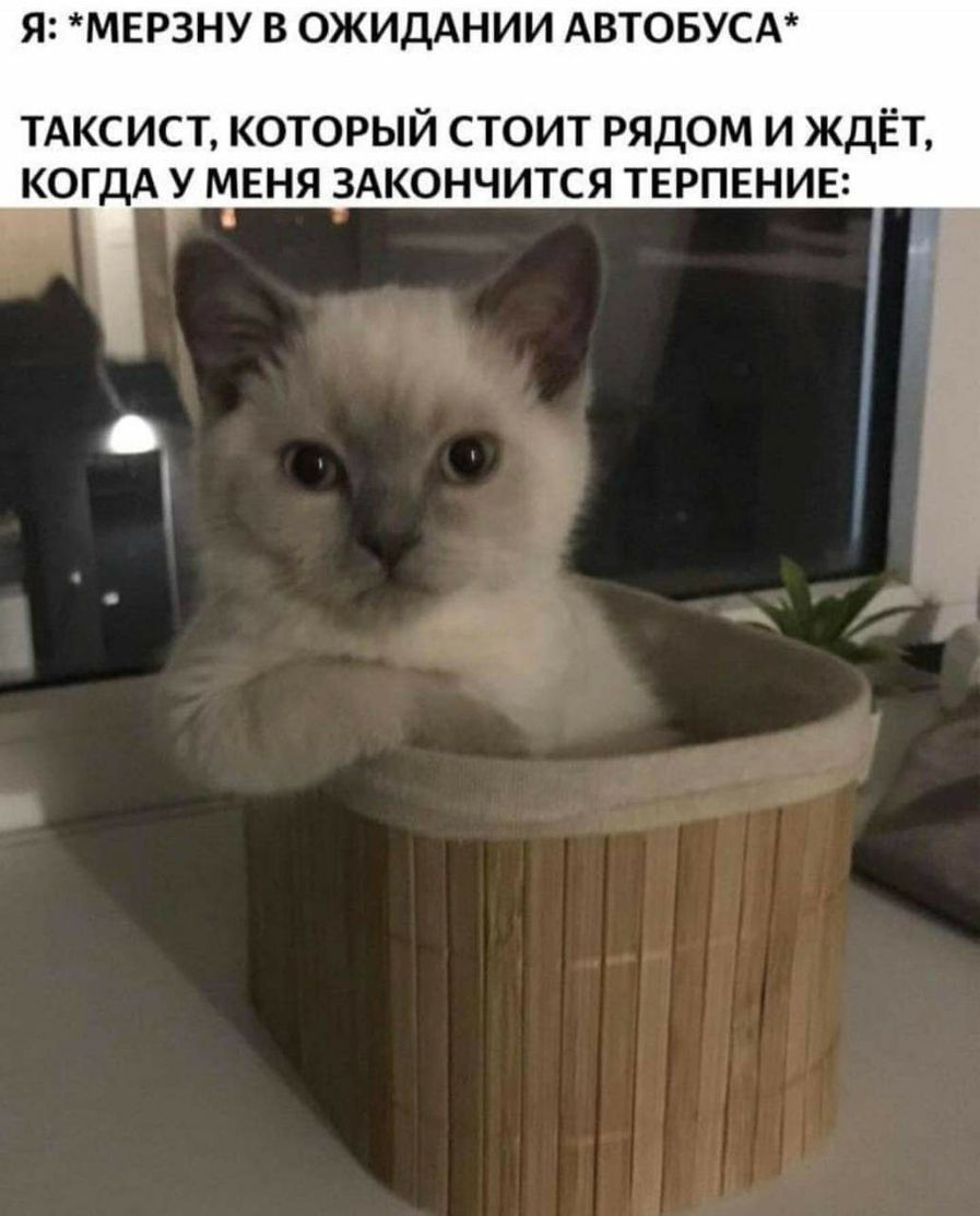 Я МЕРЗНУ В ОЖИДАНИИ АВТОБУСА ТАКСИСТ который стоит рядом и ждЁт КОГДА у меня 3Акончится ТЕРПЕНИЕ