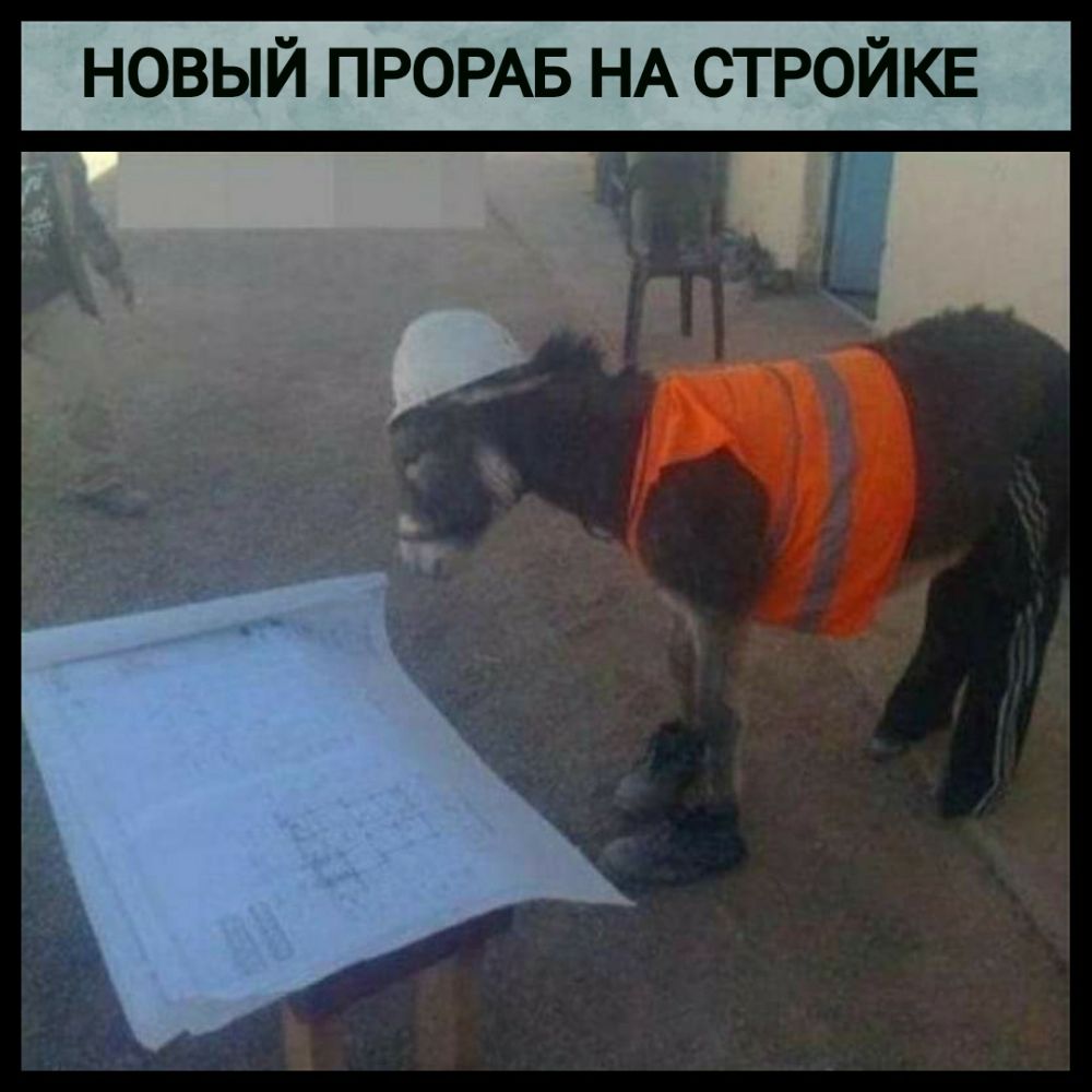 НОВЫЙ ПРОРАБ НА СТРОЙКЕ Ч