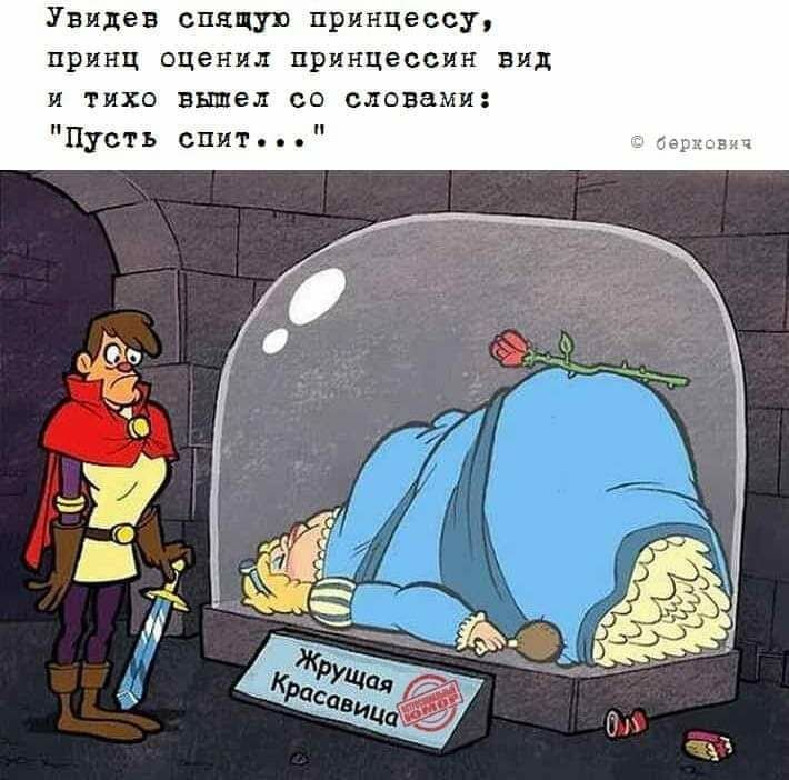 Увидев спящую принцессу ПРИНЦ оценил ПРИНЦЭОСИН ВИД И ТИХО вышел со словами Пусть спит