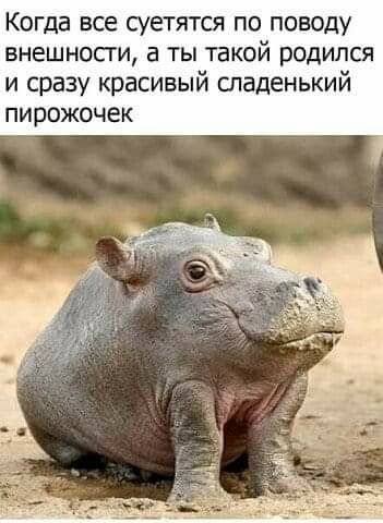 Когда все СУЭТЯТСЯ ПО ПОВОДУ БНЕШНОСГИ а ТЫ ТВКОЙ родился и сразу красивый сладенький пирожочек